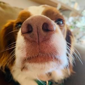 Meet your Posher, Bay